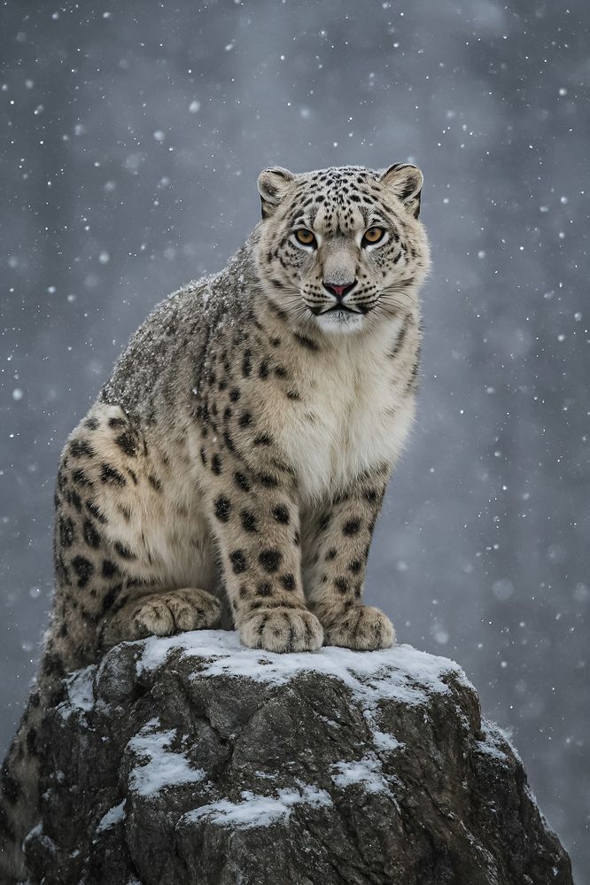 Photograph by Александр Антипов