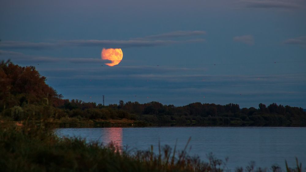 Photograph by Сергей Кочетов