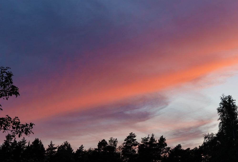 Photograph by Сергей Щербаков