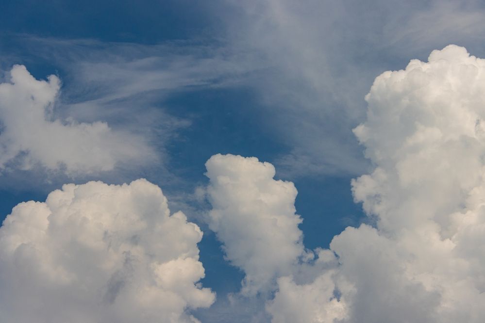 Photograph by Сергей Щербаков