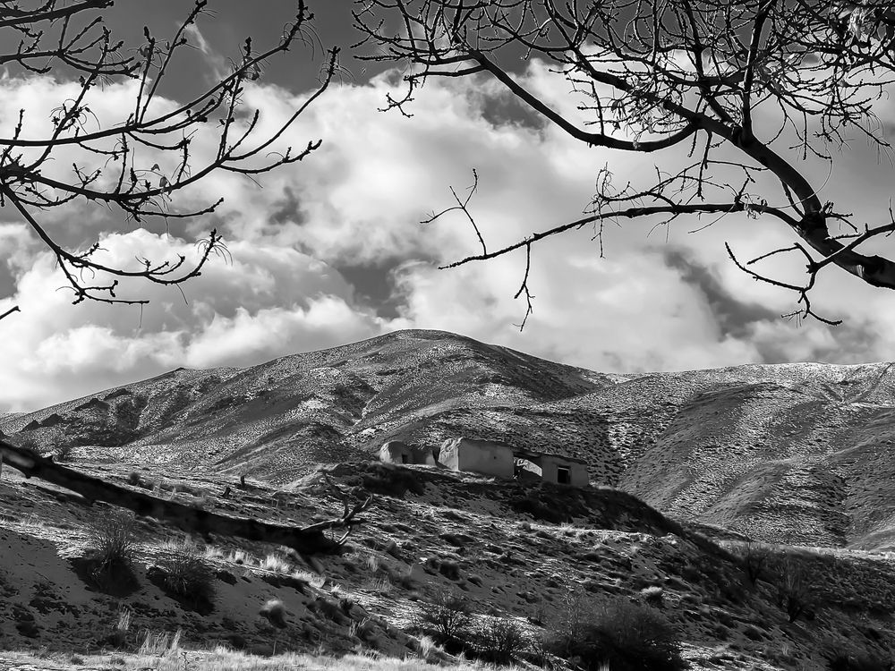 Photograph by Hamidreza zakeri