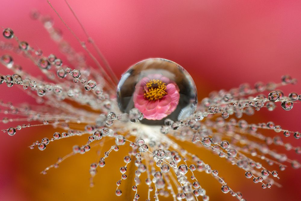 Photograph by Иван Радьков