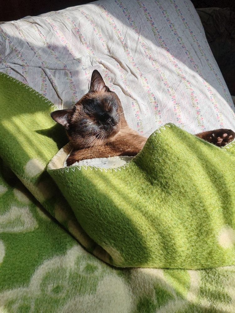 Photograph by Екатерина Брехова