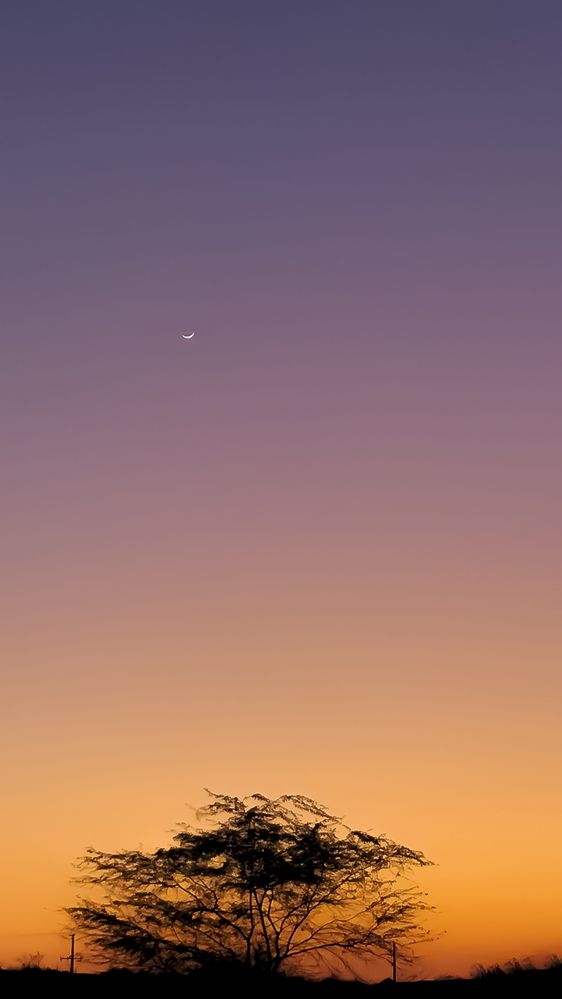 Photograph by Hamidreza zakeri