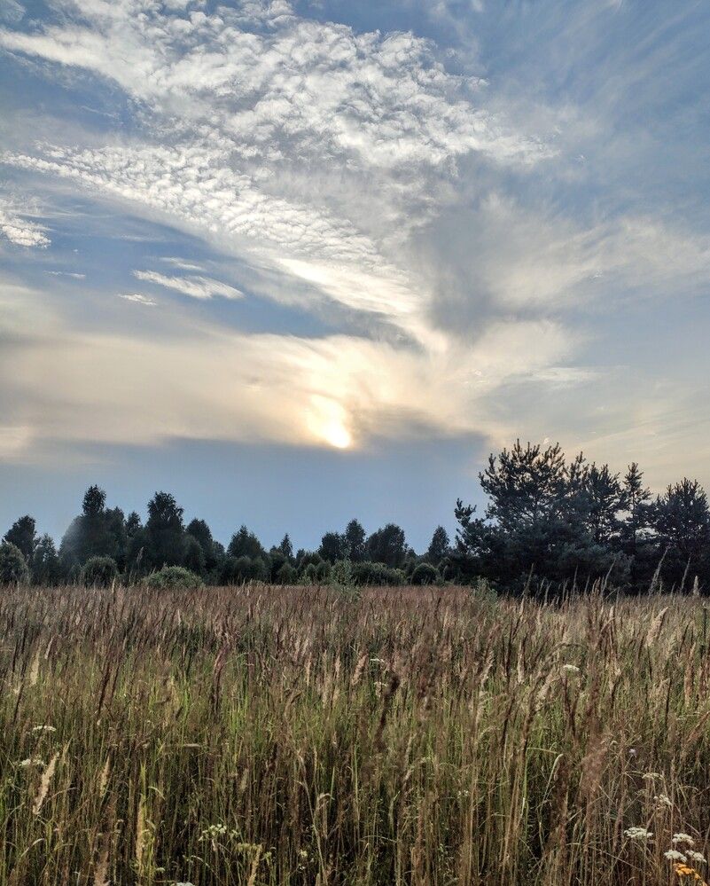 Photograph by Анна Андреевна