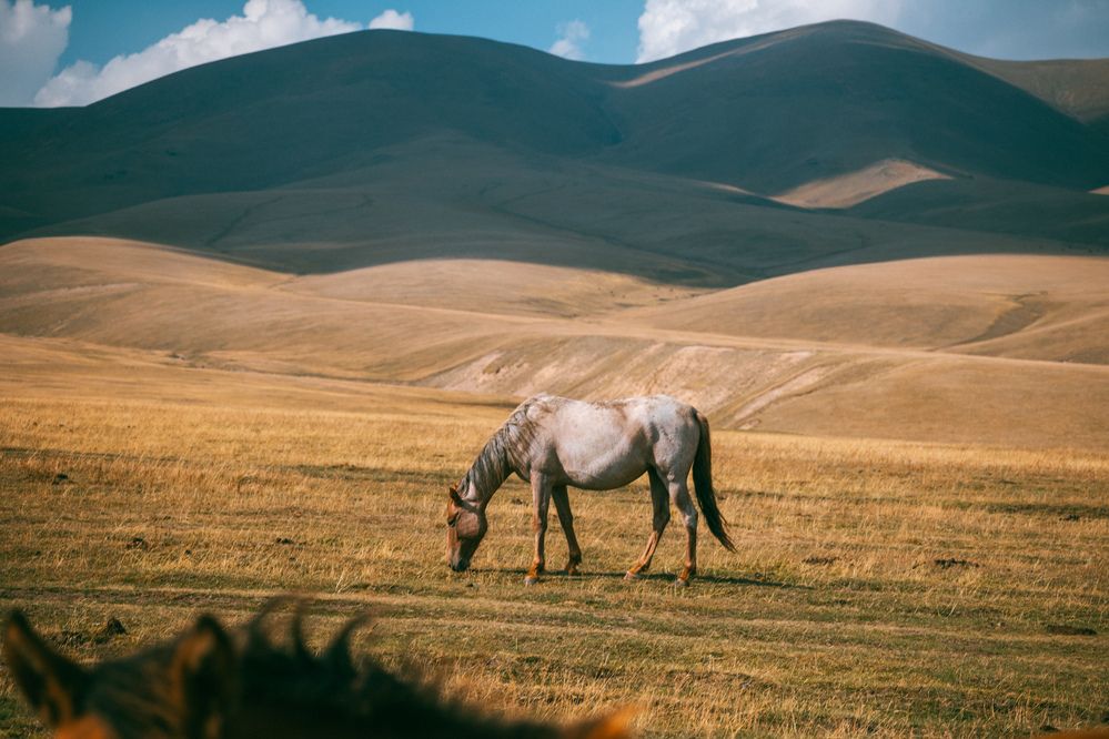 Photograph by Юлия Мальнева