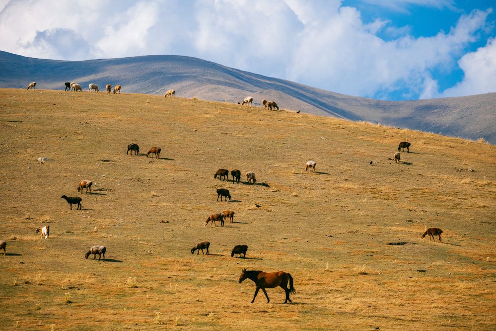 Photograph by Юлия Мальнева