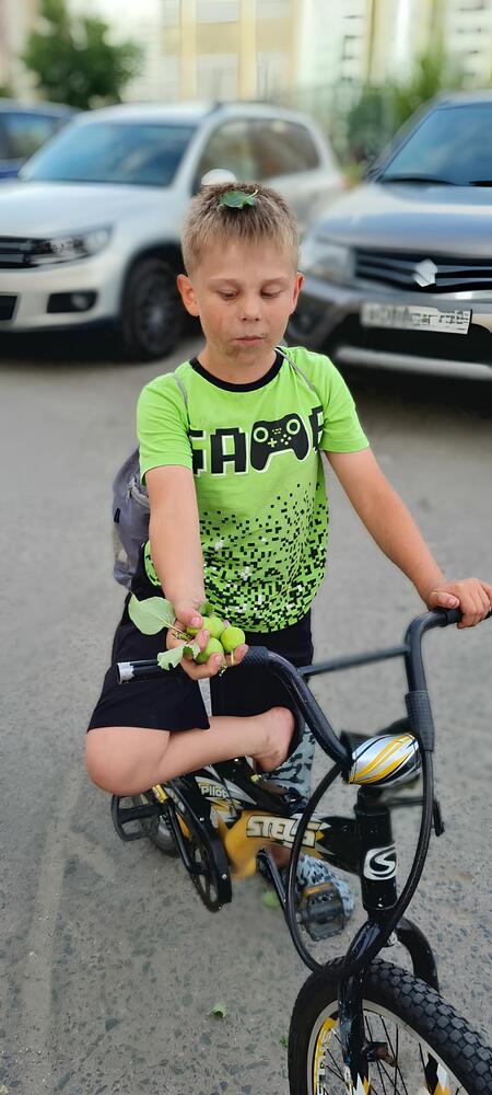 Photograph by Марина Голубкова