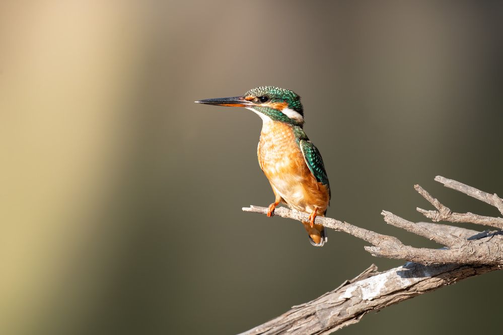 Photograph by Vladyslav Petrenko