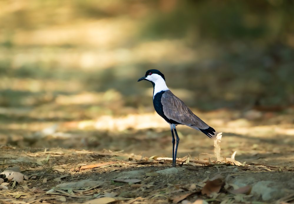 Photograph by Vladyslav Petrenko