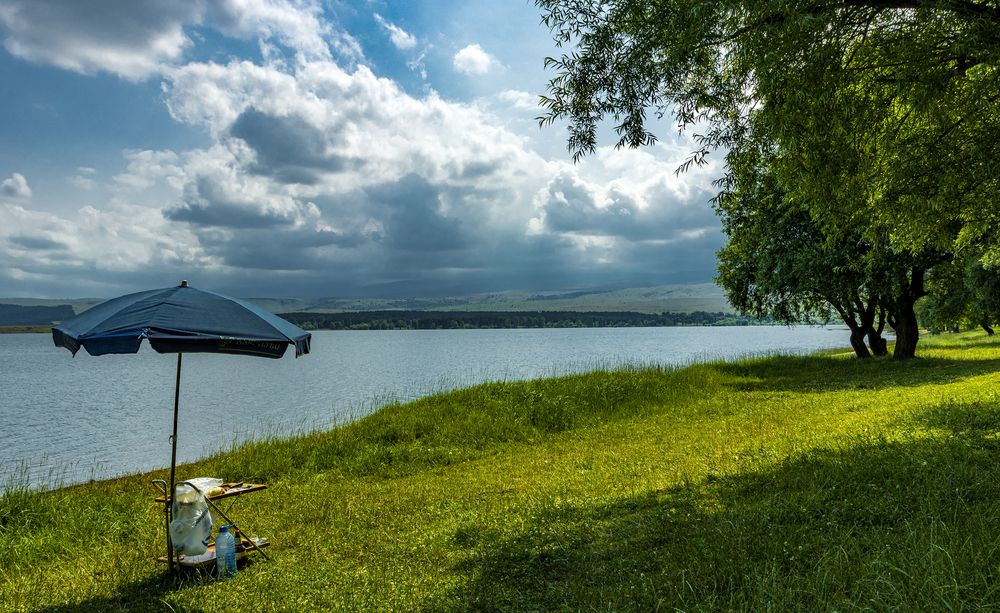 Photograph by Alex Kalpus