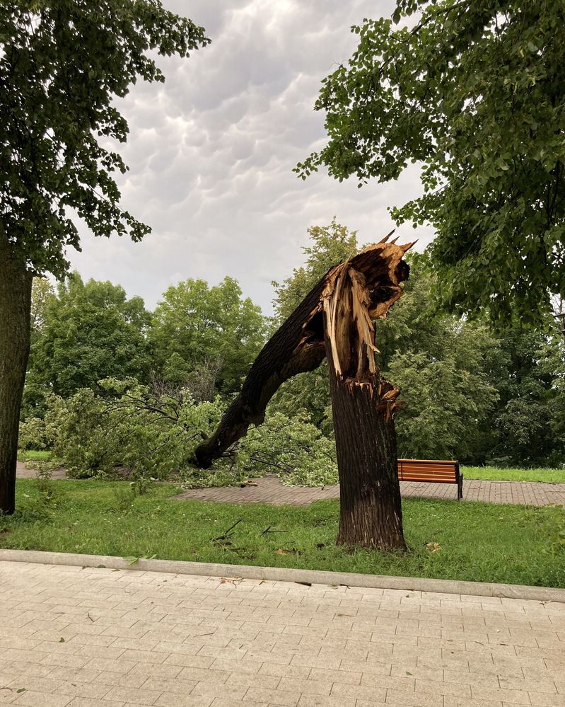 Гроза промчалась...