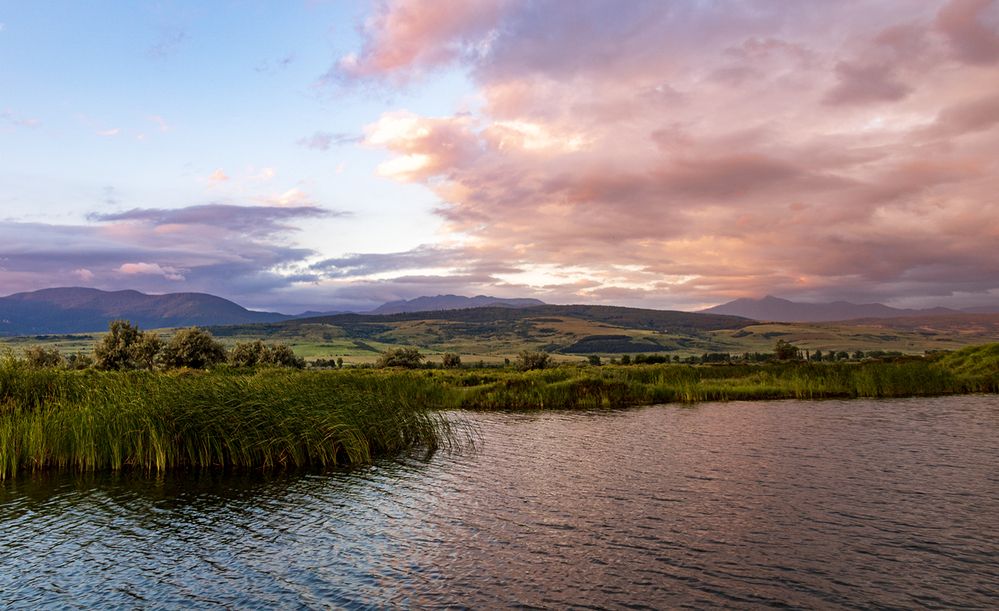 Photograph by Alex Kalpus