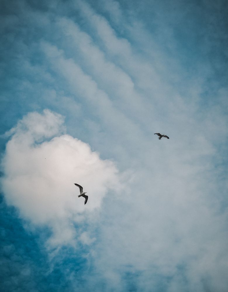 Photograph by Liudmila Kirillova