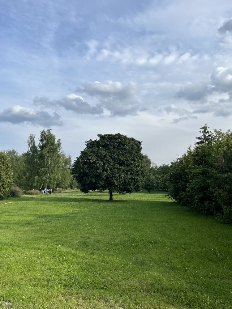 Фотография автора Светлана Милова