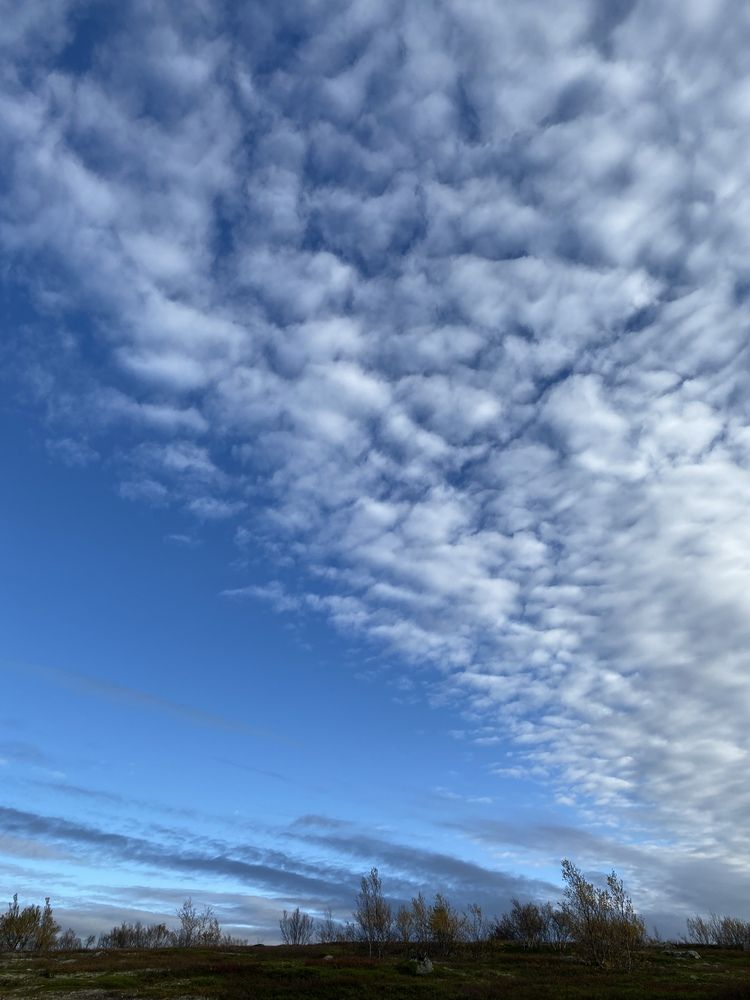 Photograph by Ольга Желтова