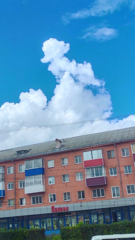 Фотография автора Наталья Шендяпина