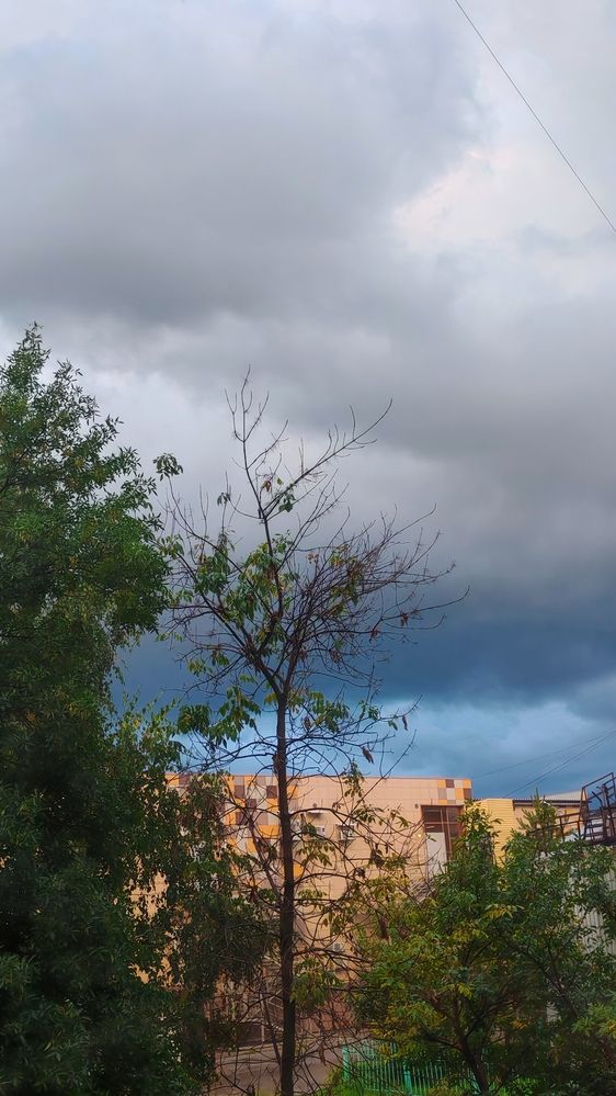 Фотография автора Наталья Шендяпина