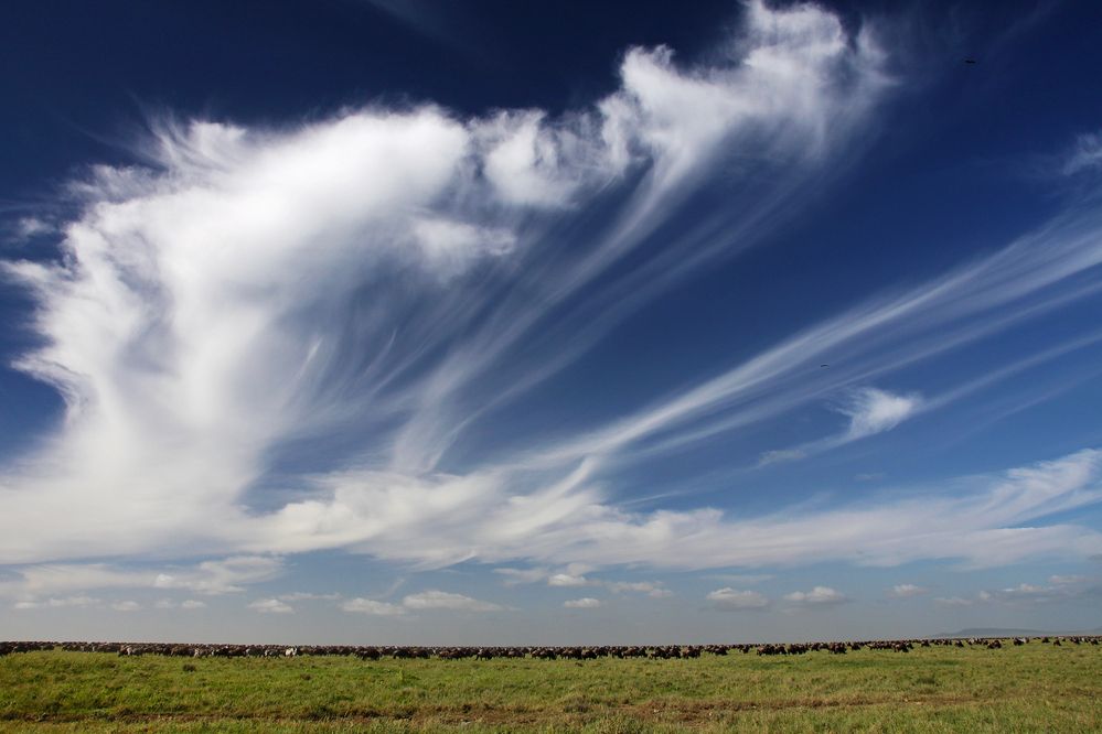 Photograph by Gurdina Lena