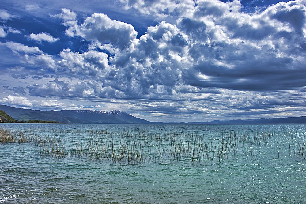 Photograph by Stojan Saveski