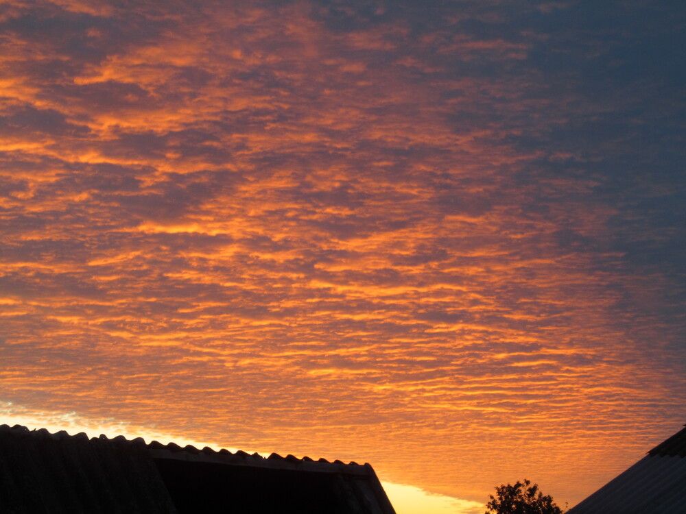 Photograph by Николай Дмитриев