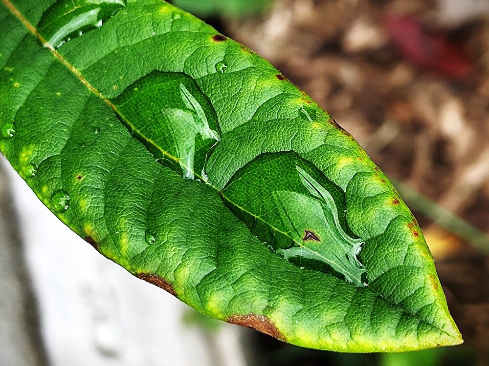 Photograph by Jozef Potocký