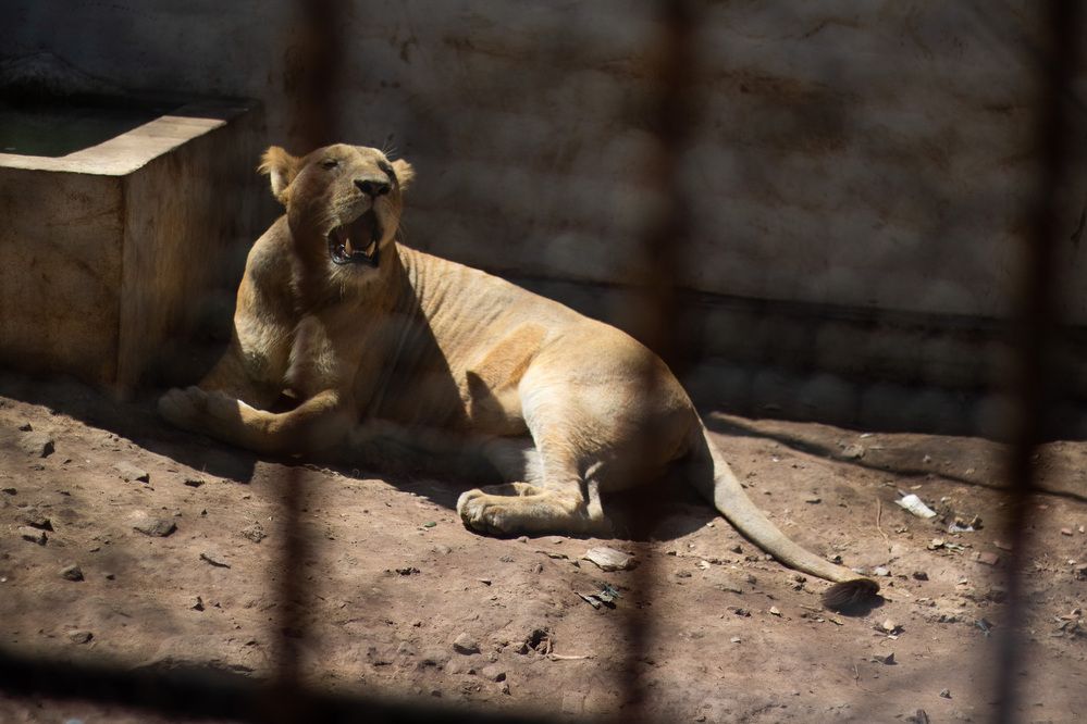 Photograph by Assal mouadh