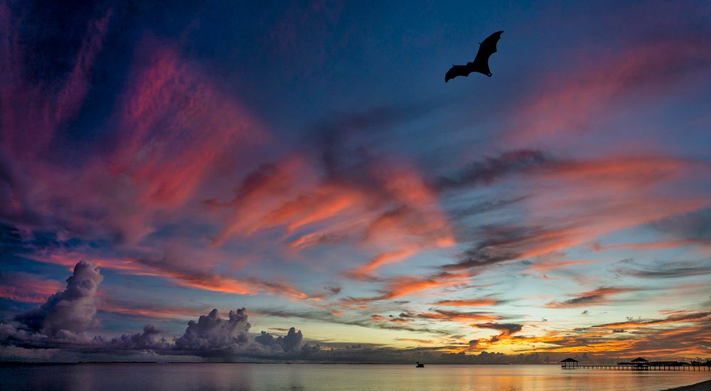 Photograph by Vladimir Ostapenko