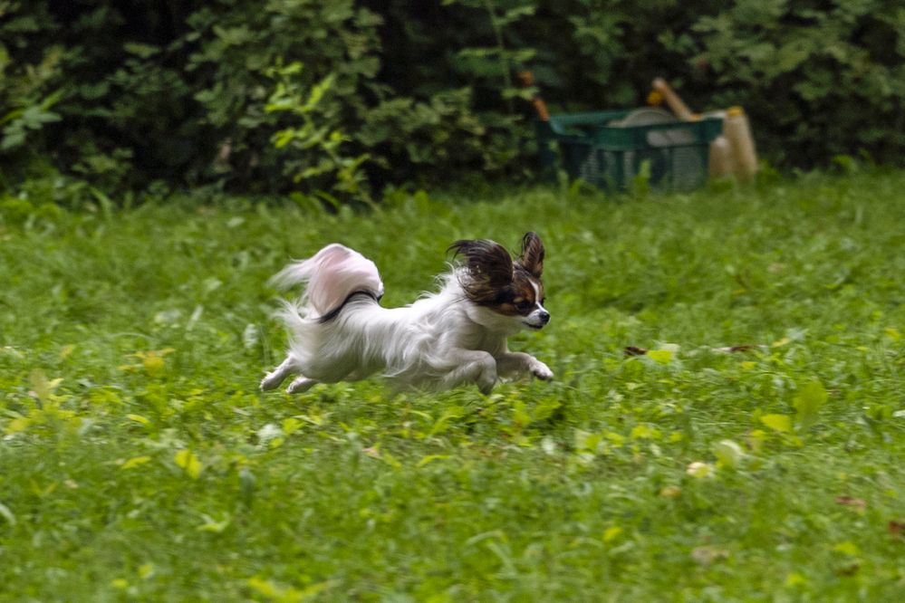 Photograph by Милена Полтавец