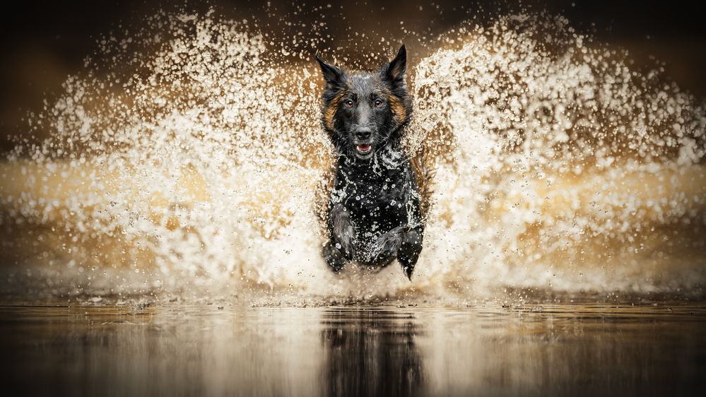 Photograph by Lucie Nermuťová