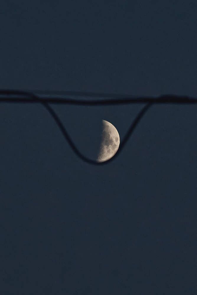 Photograph by Алексей Иванов