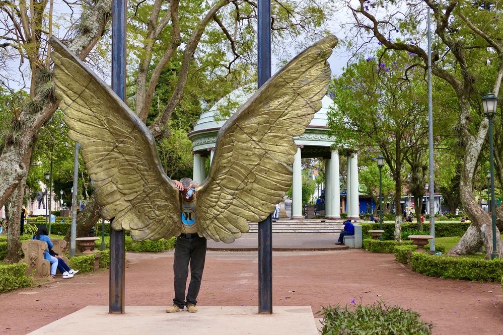 The last hope is wings