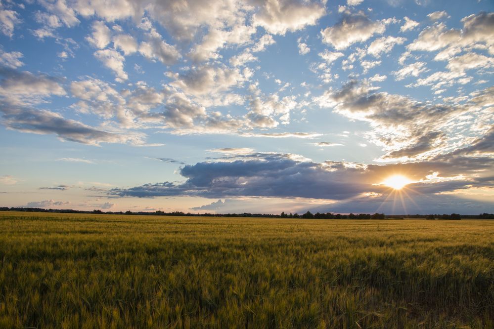 Photograph by Вячеслав Паклин