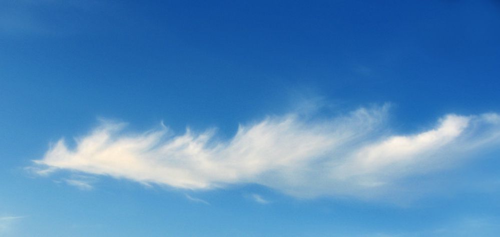 Photograph by Pavel Gukov