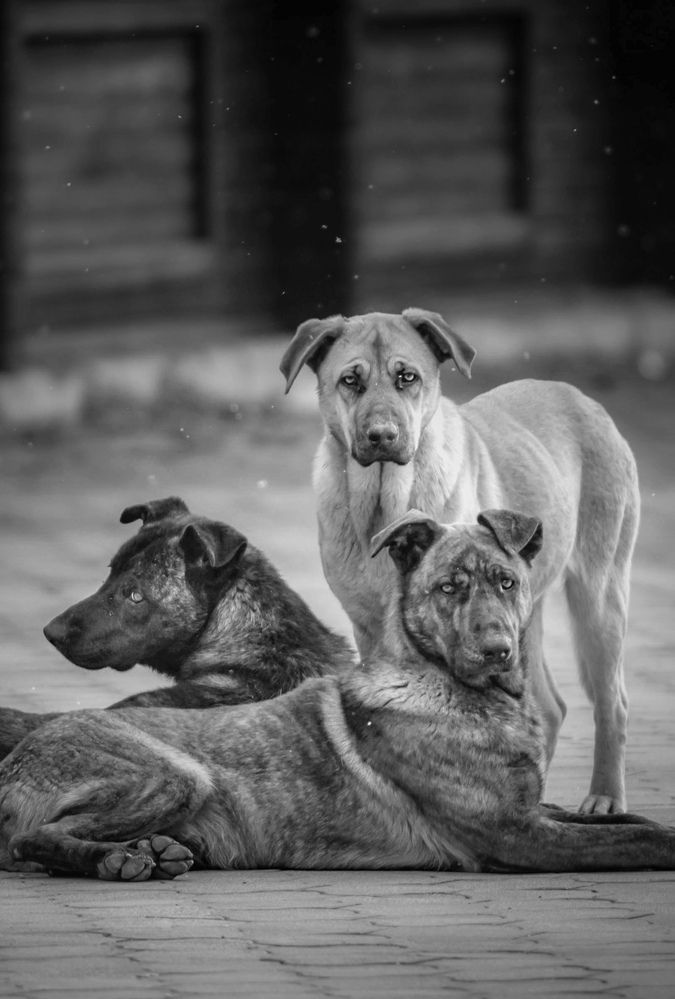 Photograph by Константин Яковлев