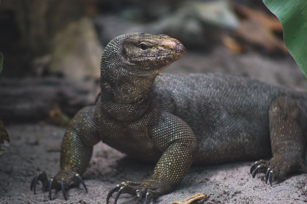 Фотография автора Алексей