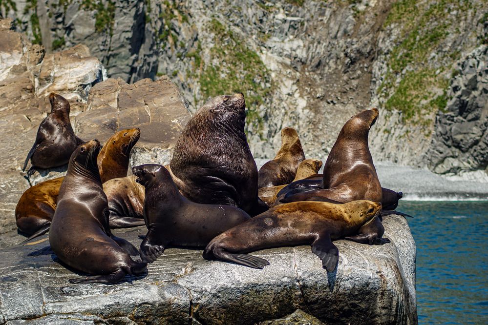 Фотография автора Алексей