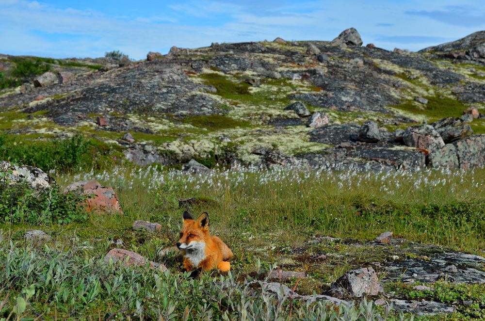 Photograph by Мария Воронцова