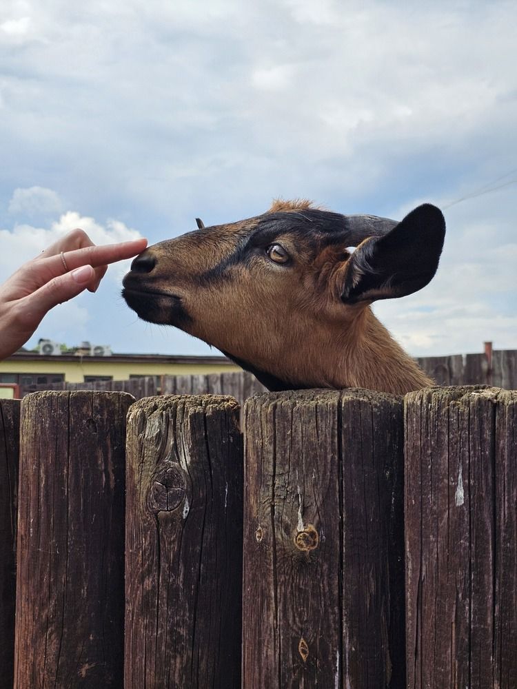 Photograph by Елена Ямнюк