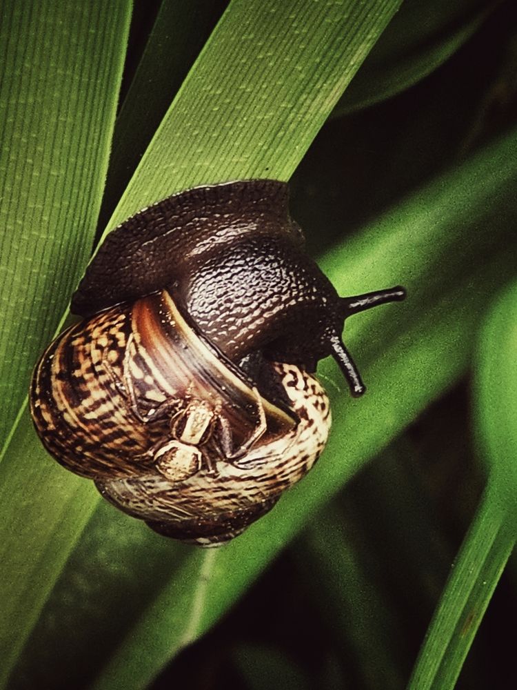 Photograph by Елена Ямнюк