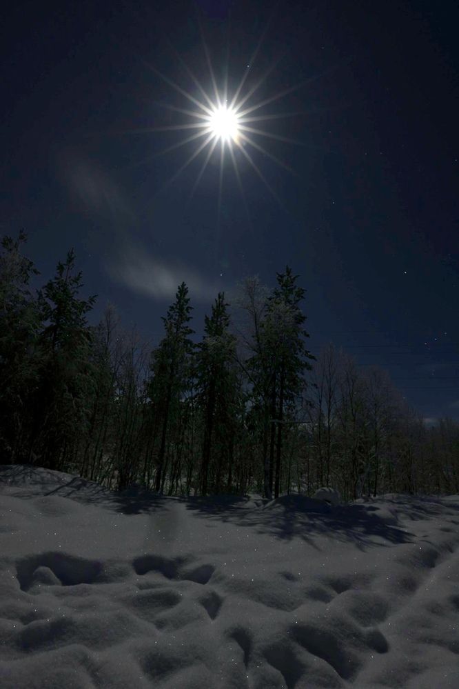 Photograph by Одаренко Ольга