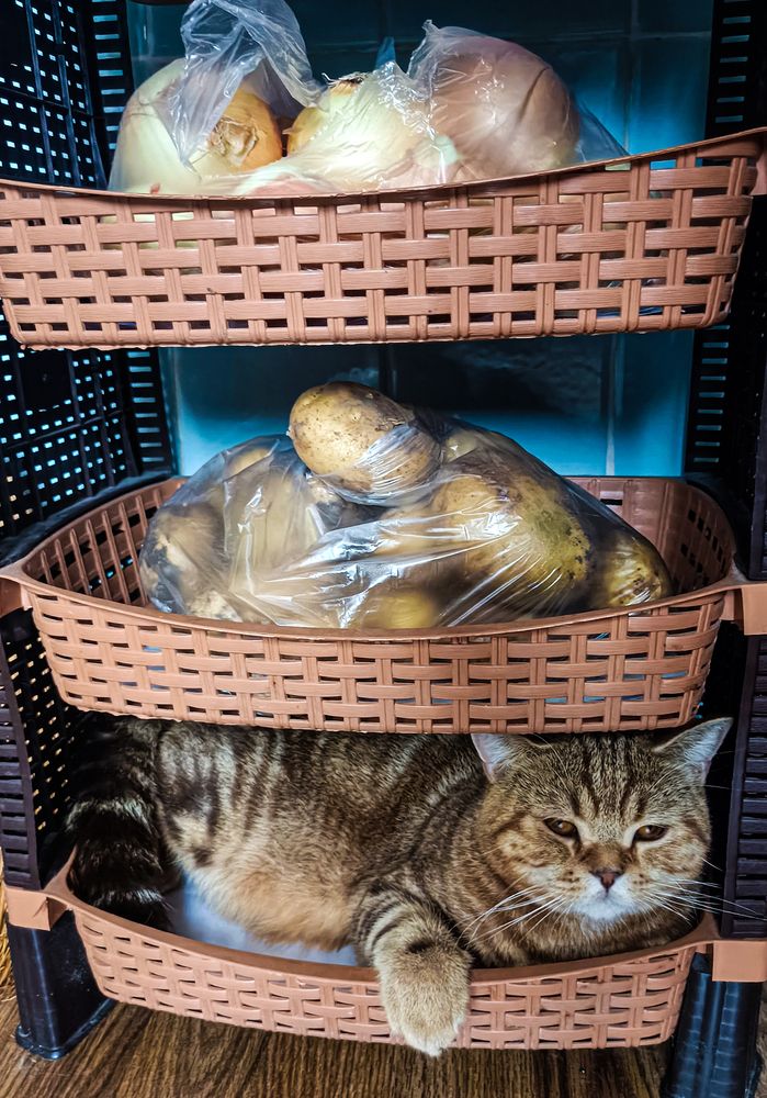 Photograph by Alex Kalpus