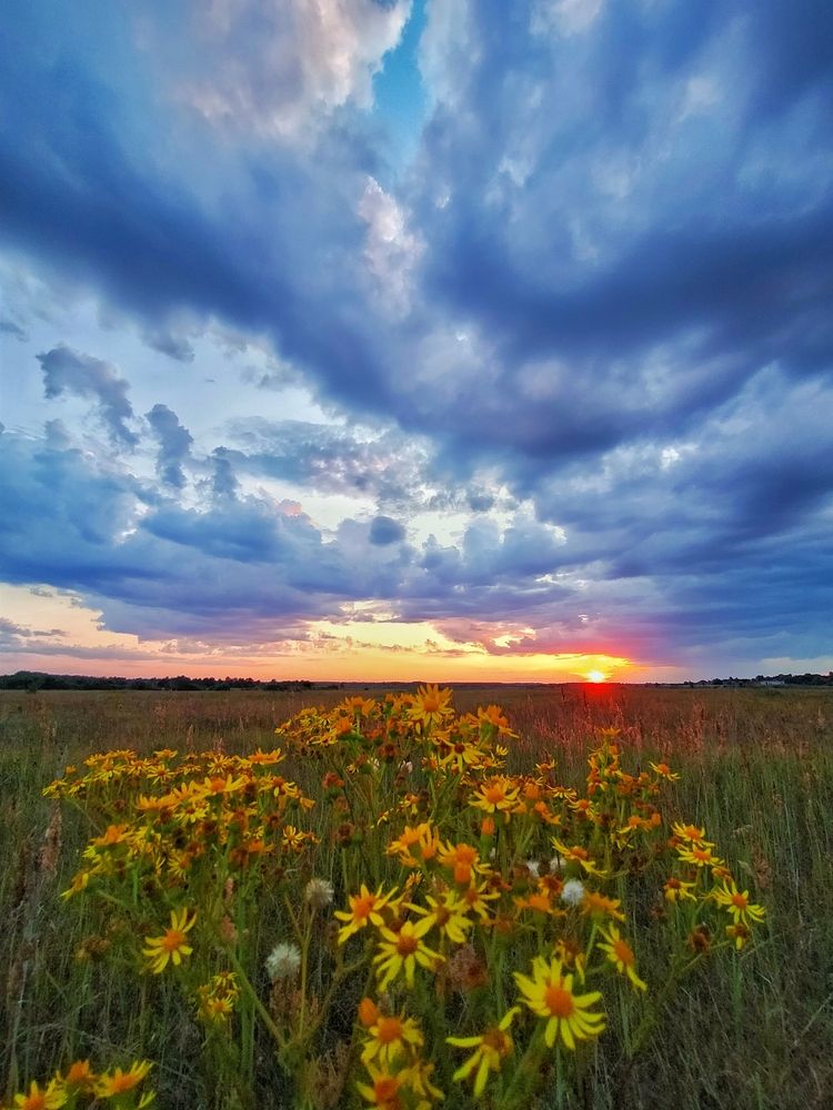 Photograph by Мария Воронцова