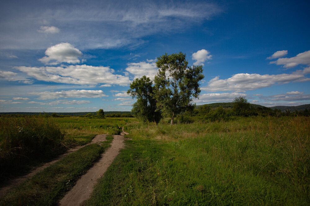 Photograph by Евгений Авдеев