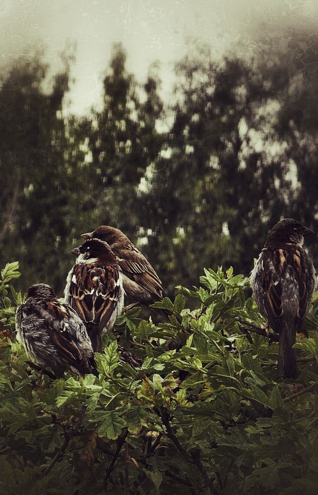 Photograph by Ирина Лукашова