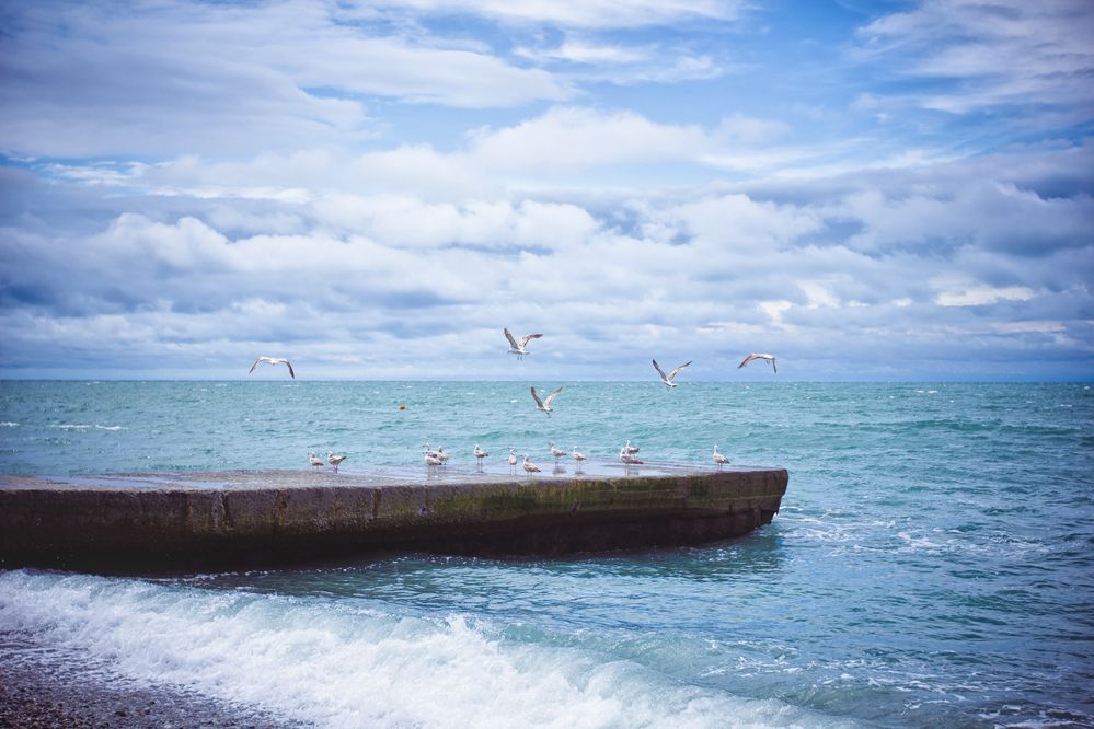 Фотография автора Анна Петина