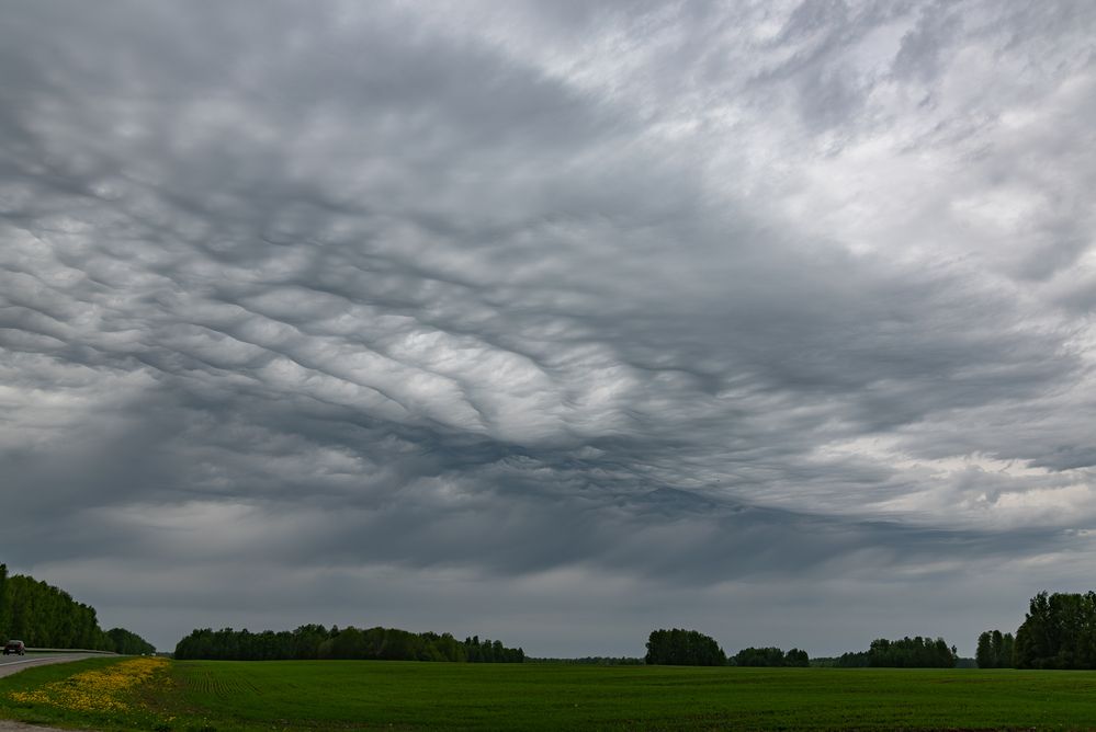 Photograph by Альварис Сукманюк