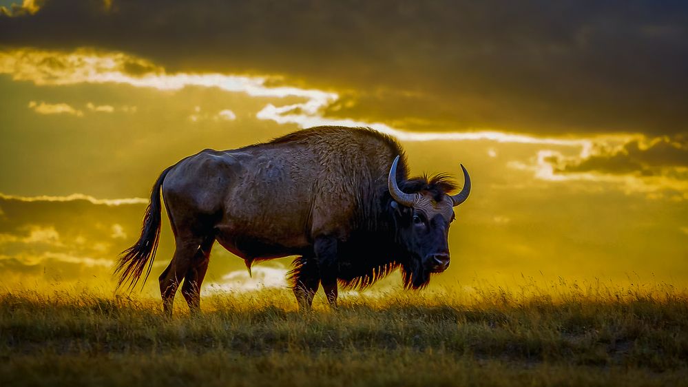 Photograph by Алексей Афонин