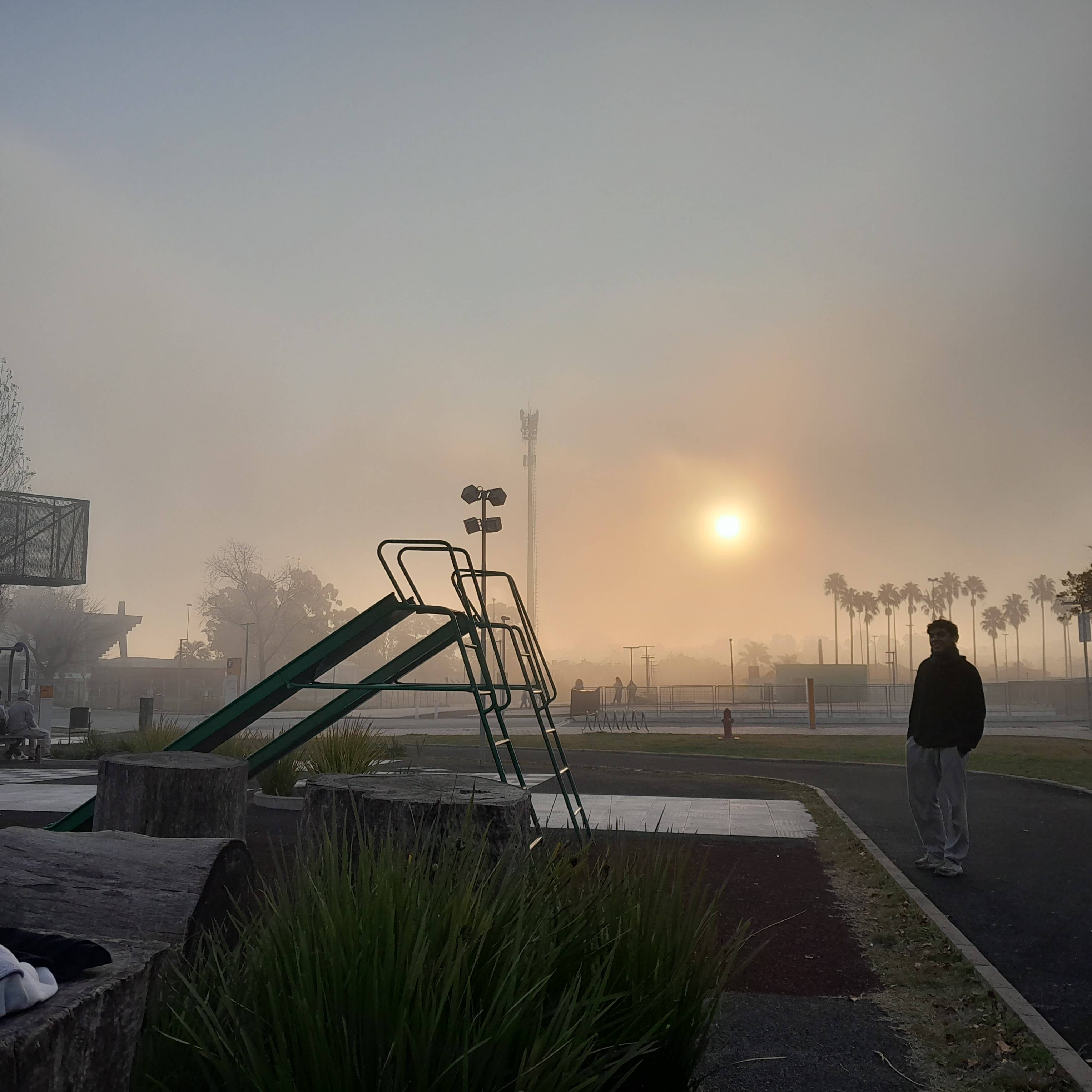 Photo #12524866