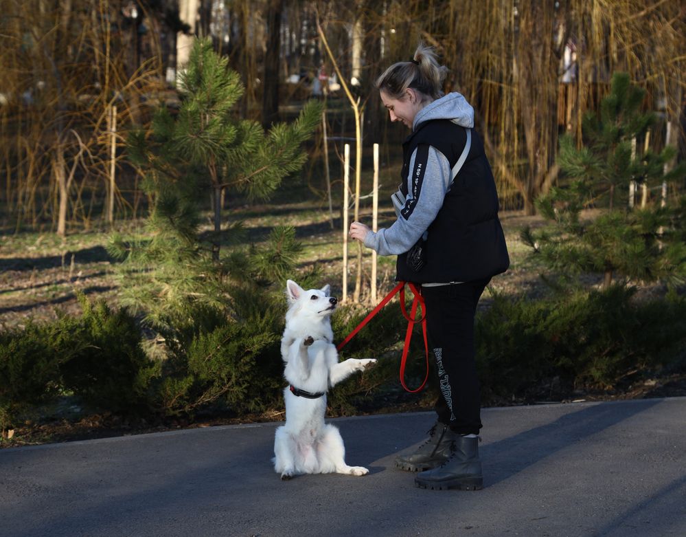 Photograph by Ирина Бескровная